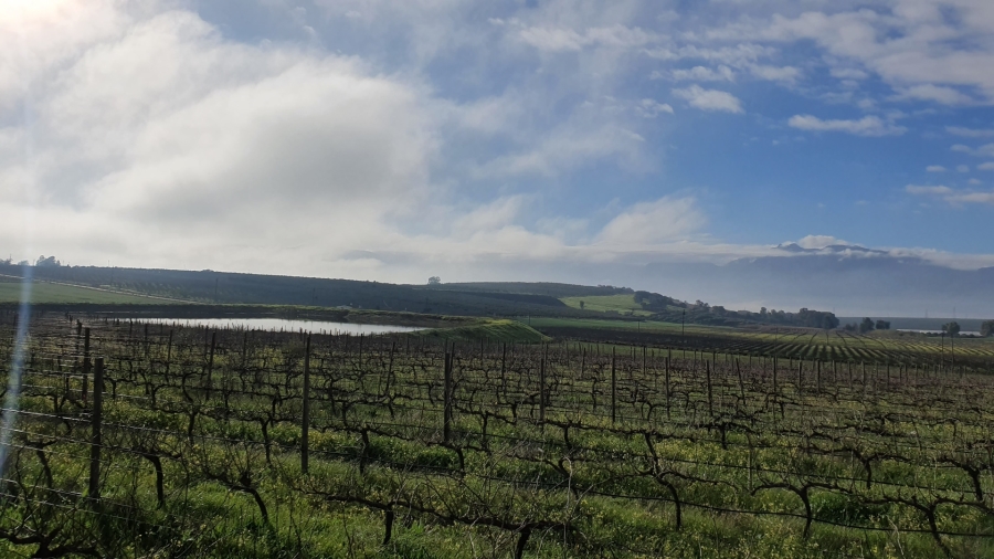 Commercial Property for Sale in Paarl Rural Western Cape